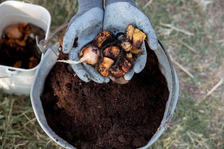 heating compost - compost in bucket