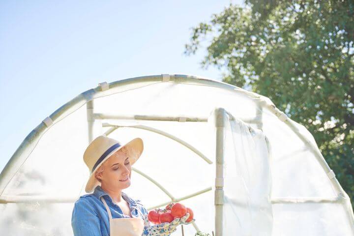 woman taking care of polytunnel