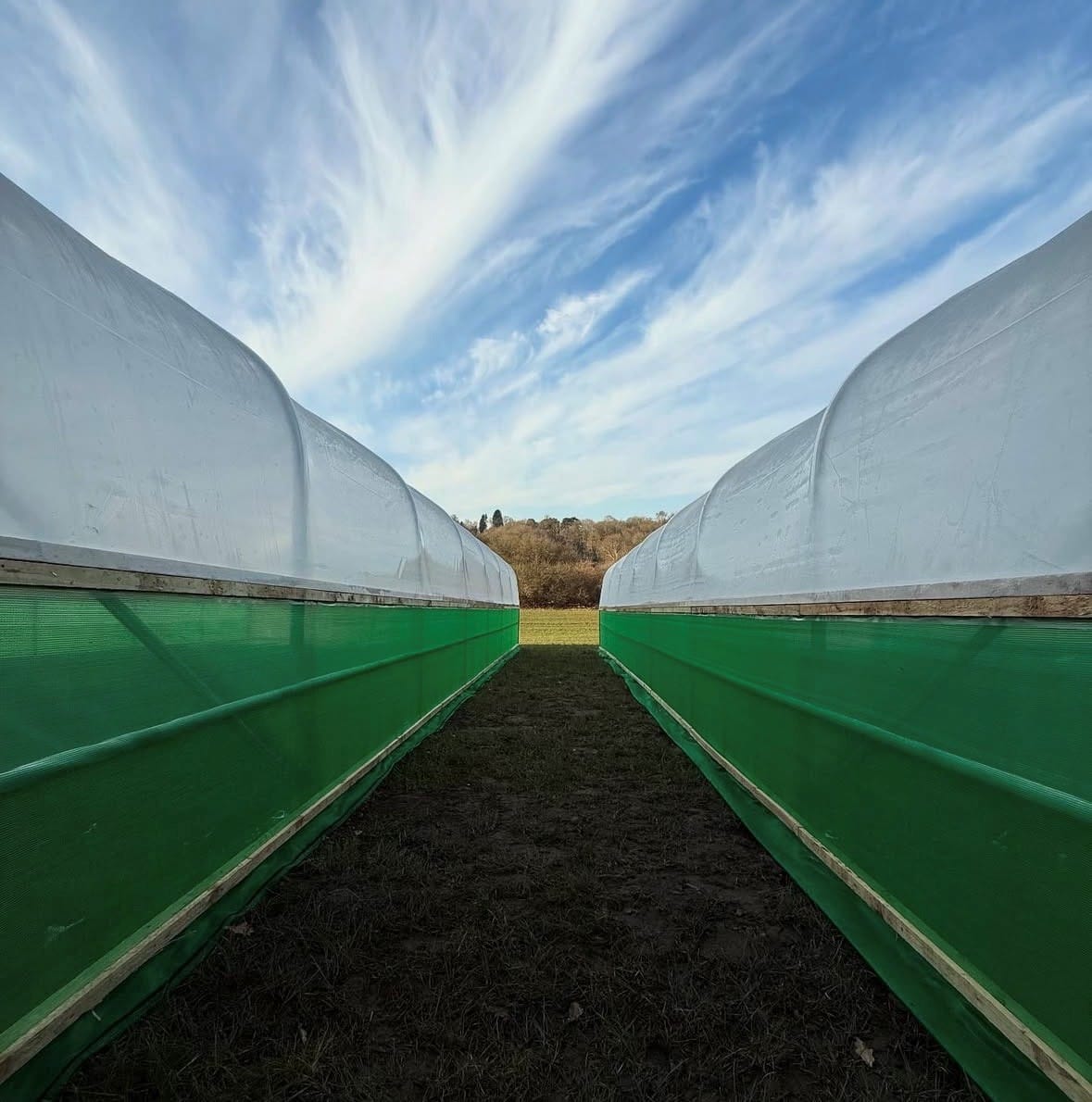 Side Ventilation for Polytunnels - Image 2