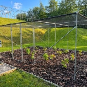 FRUTI CAGE