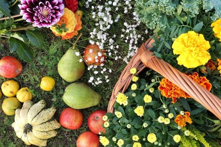 Mixed vegetables and companion flowers grown together using companion planting techniques