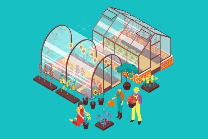 Comparison between a polytunnel and a greenhouse in a garden setting