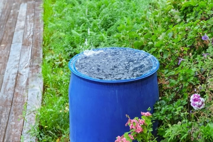 Rainwater collection system supporting sustainable watering in a polytunnel survival garden