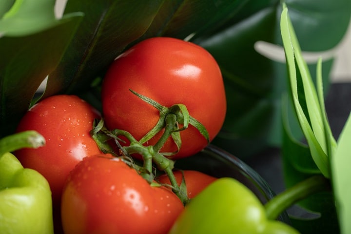 tomato plant diseases uk prevention