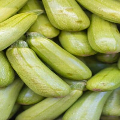 courgette in pot featured image