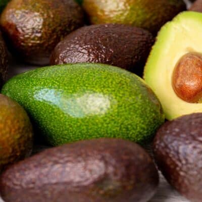 growing an avocado UK in polytunnel featured image