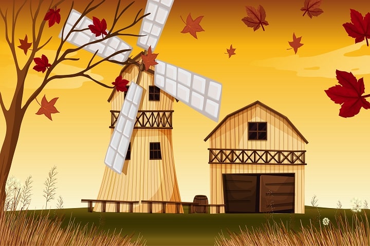 clear your garden in autumn