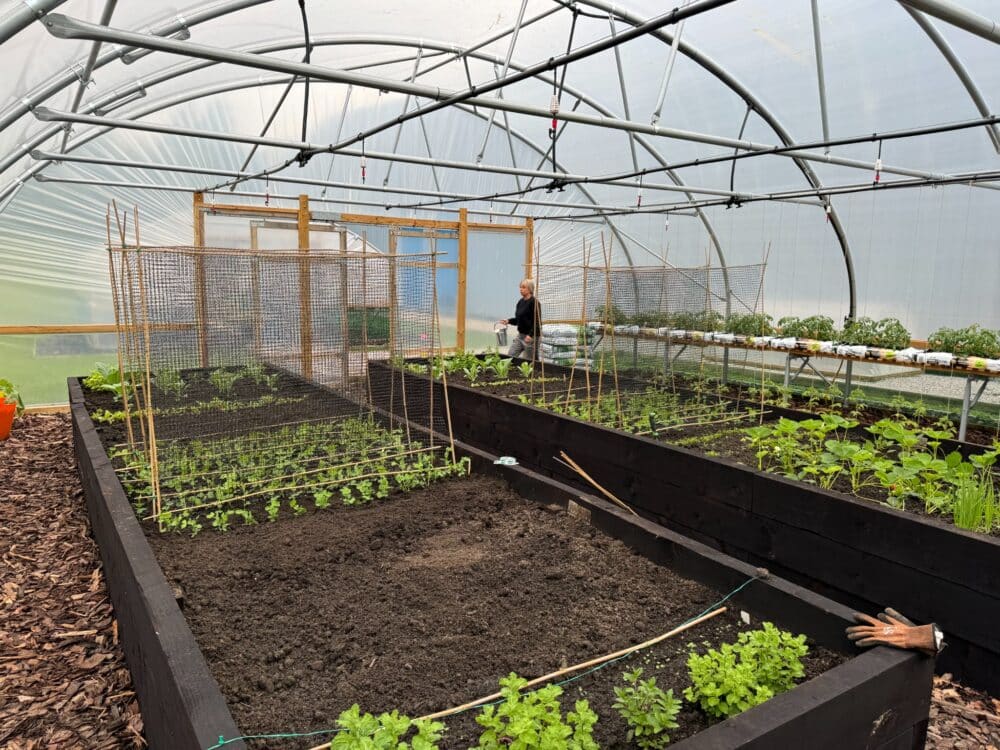 First Tunnels polytunnel photograph 1 of 5