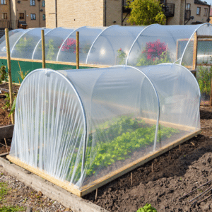 Sunlit garden with a raised-bed polytunnel