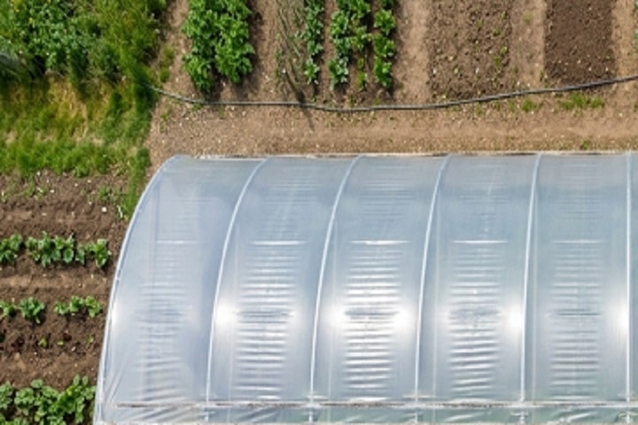how to secure a polytunnel cover image